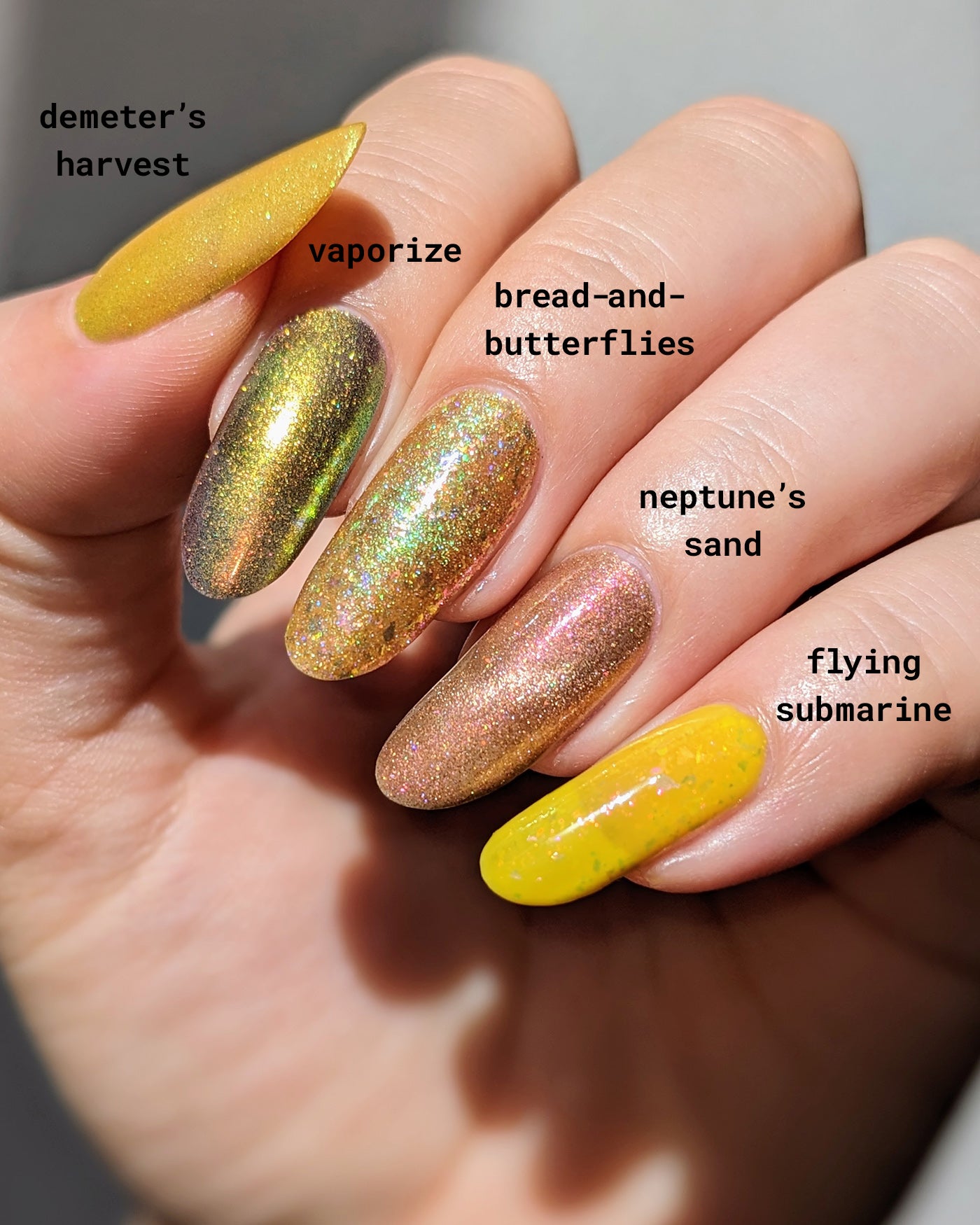 Bread-and-Butterflies
