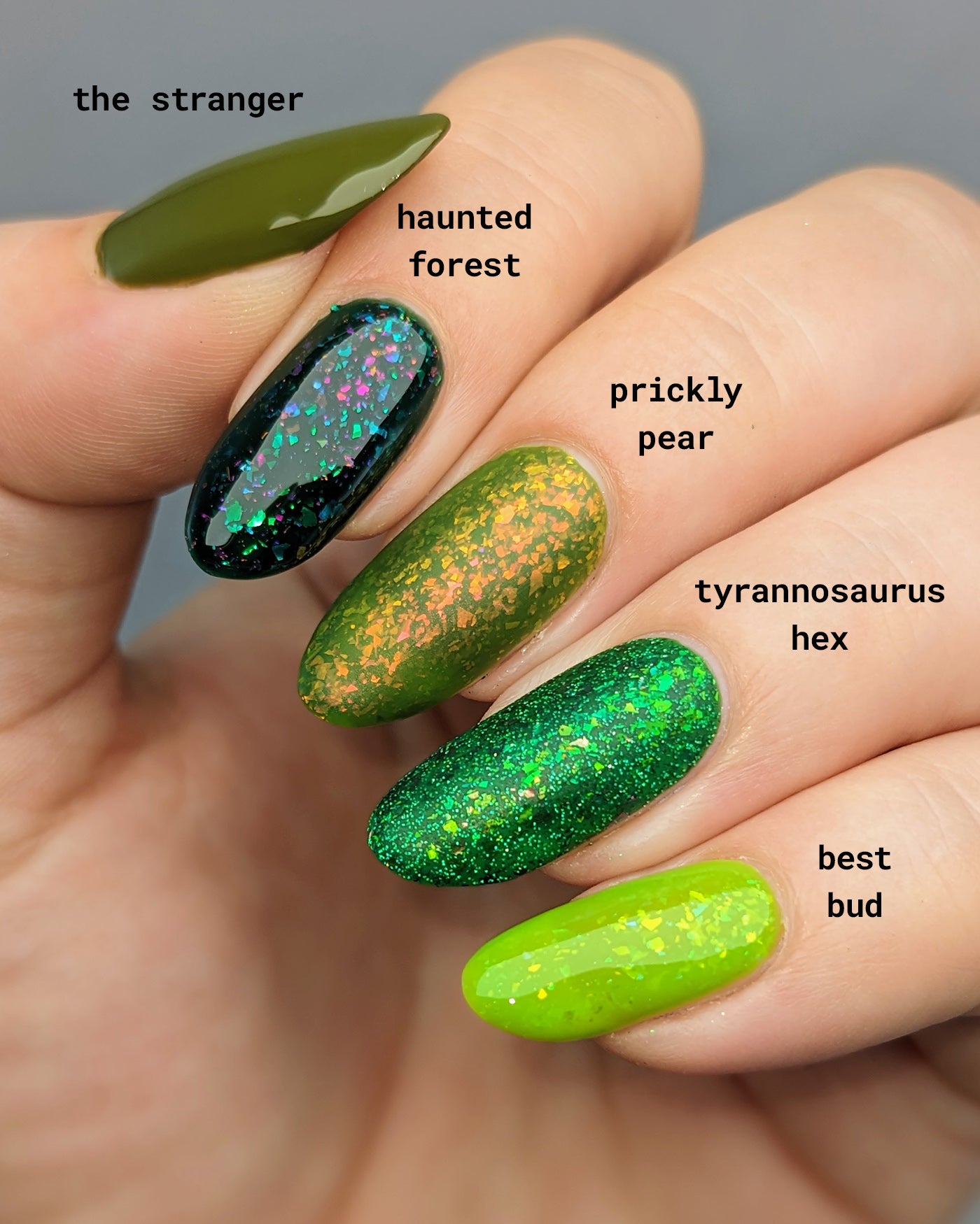 Prickly Pear