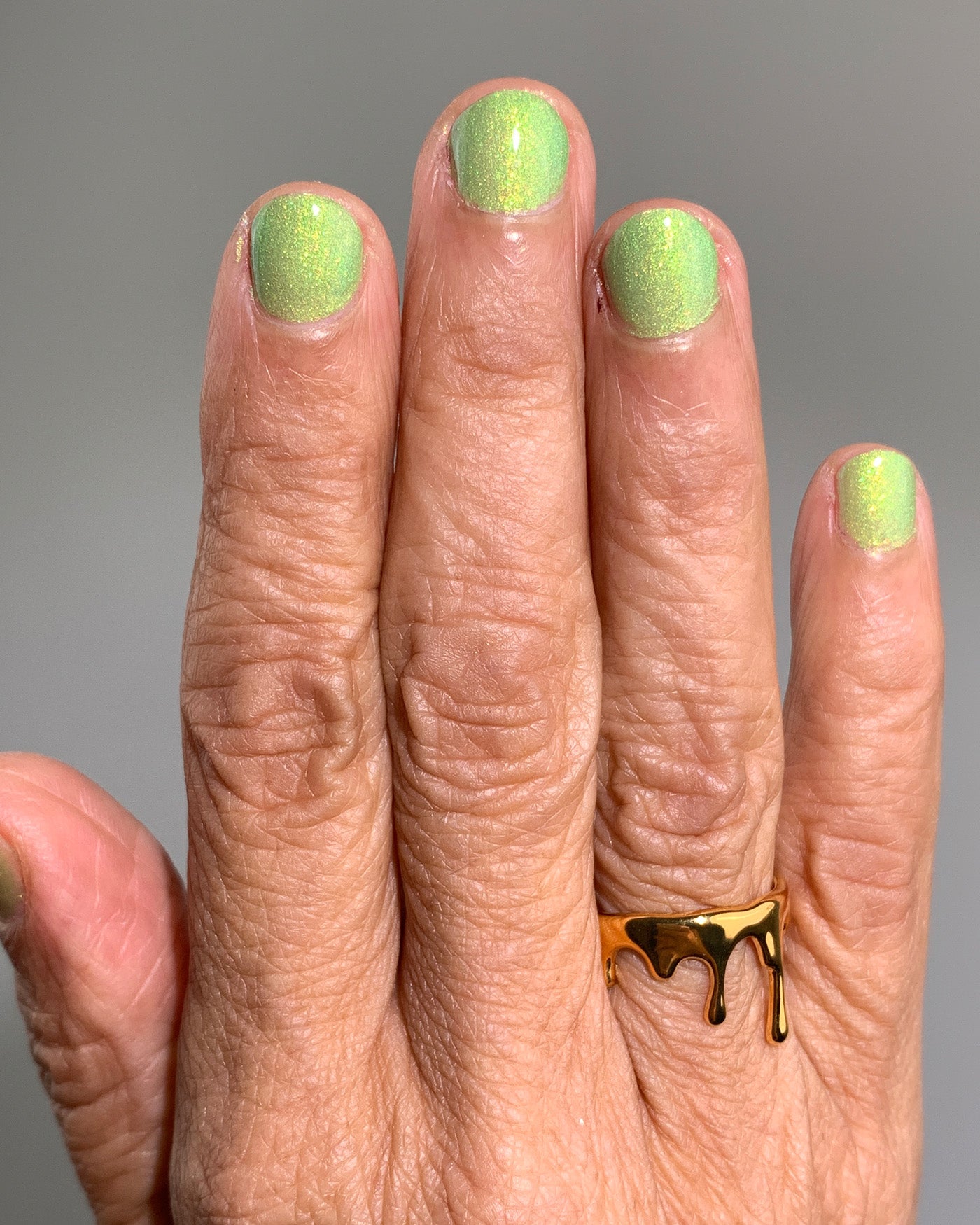 My Bugs! My Bugs!