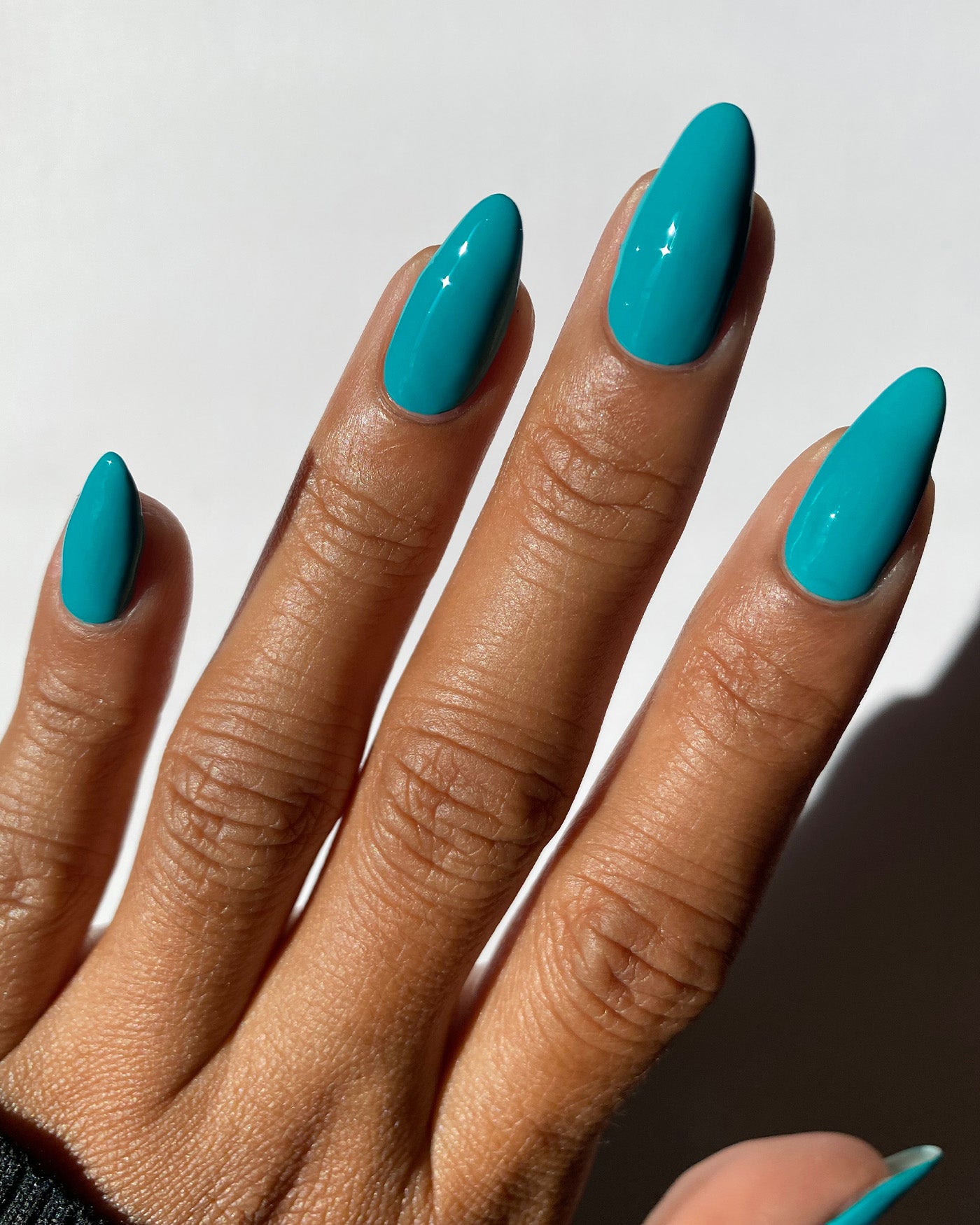 Abandoned Boardwalks