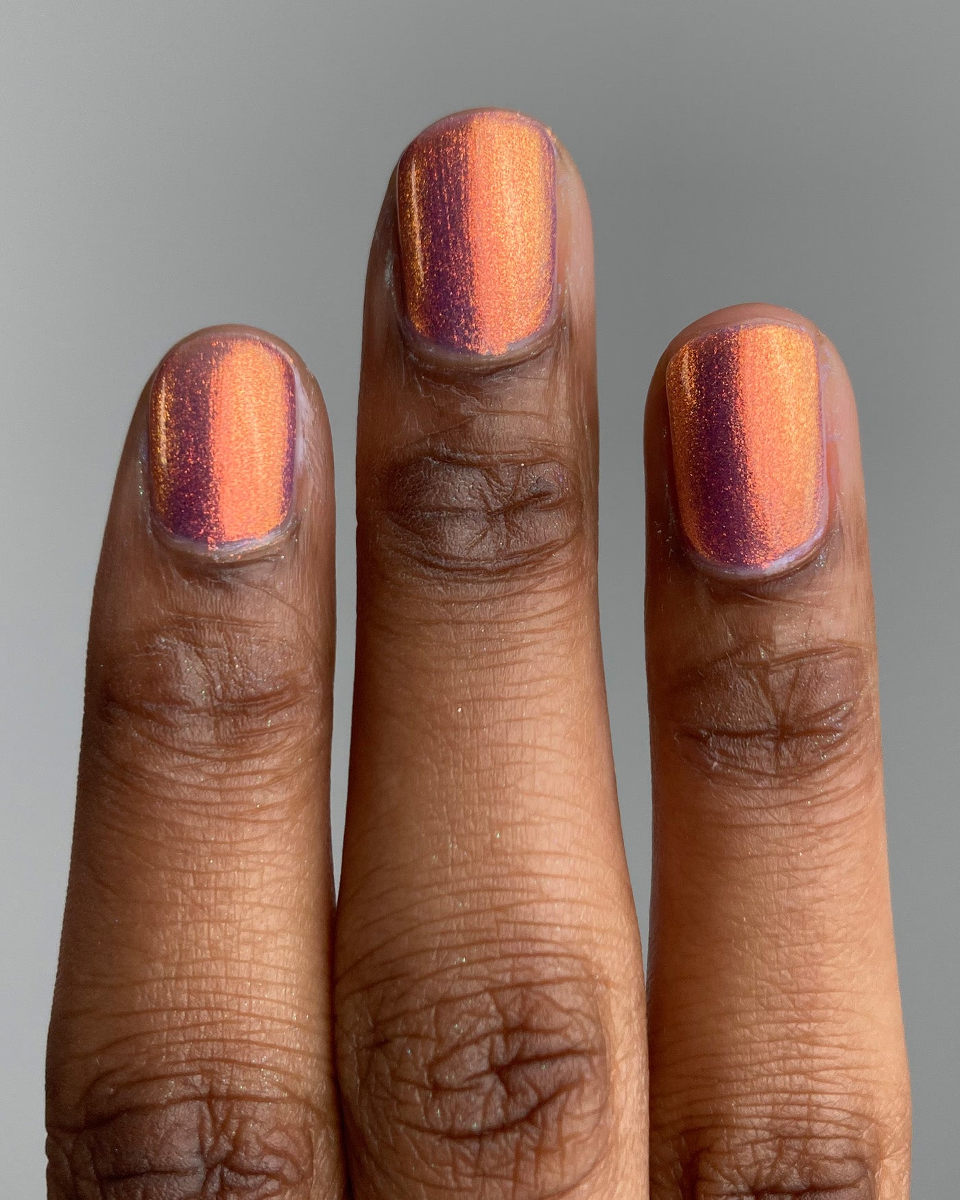 Flight Of The Monarchs