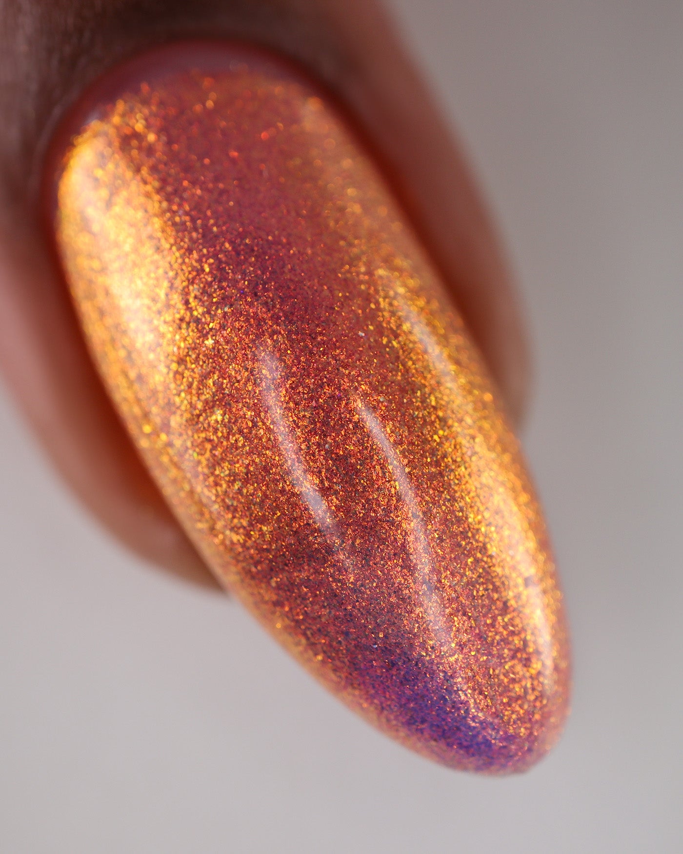 Flight Of The Monarchs