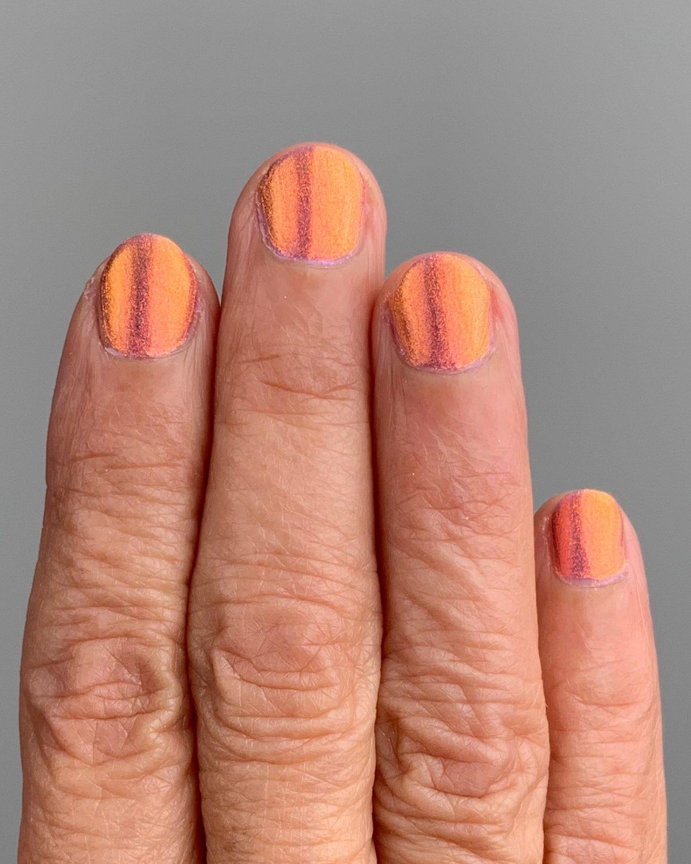 Flight Of The Monarchs