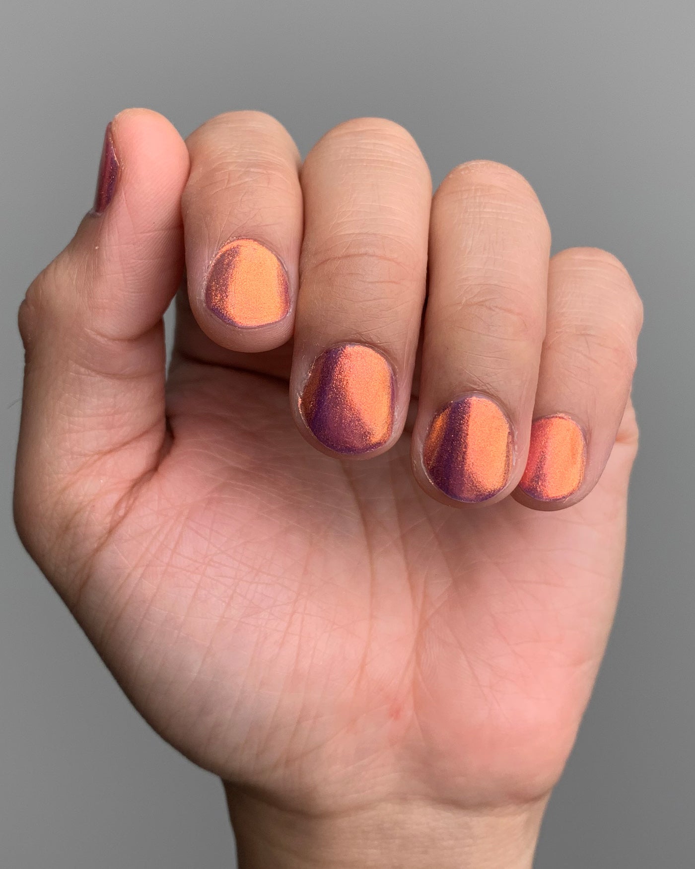 Flight Of The Monarchs