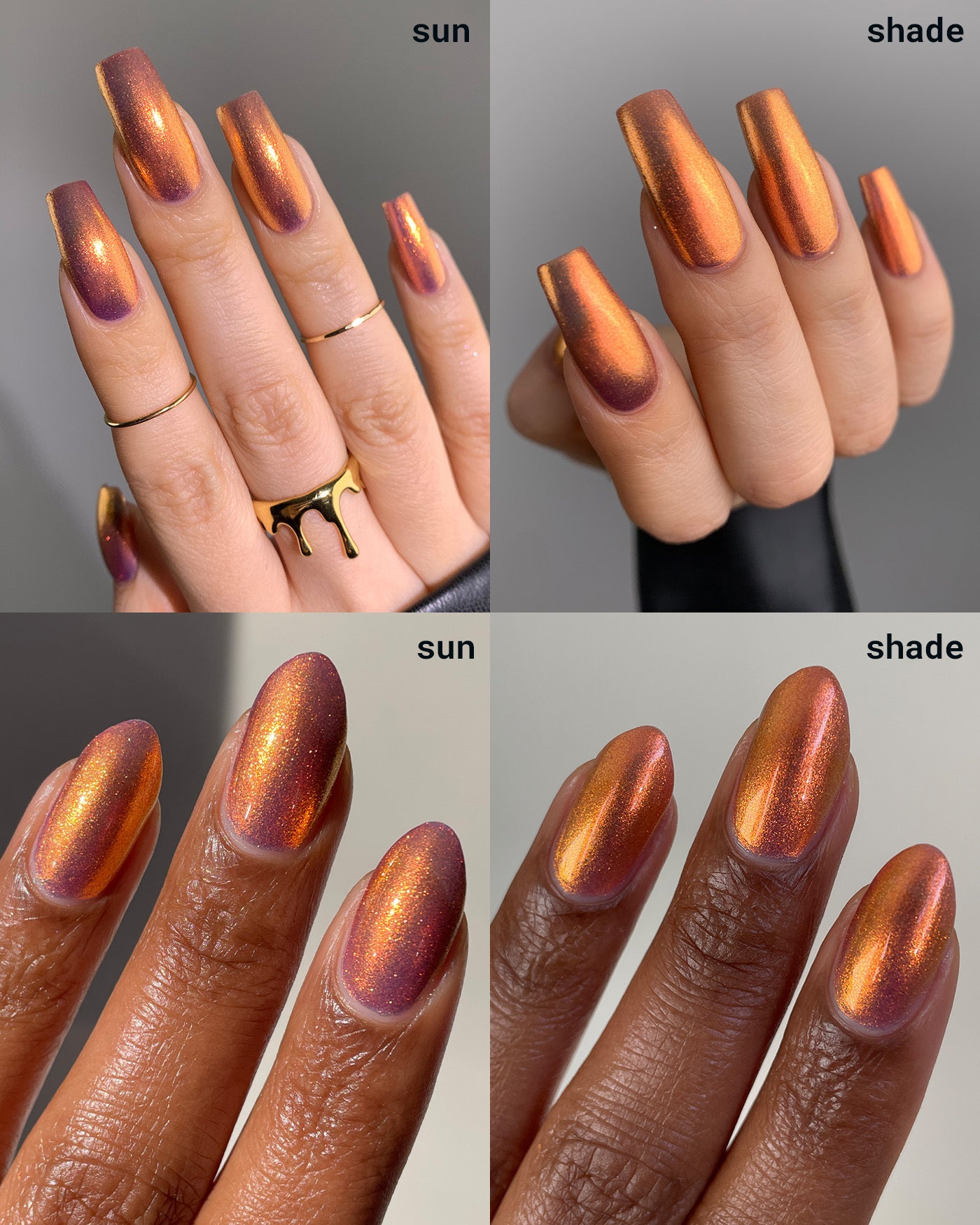 Flight Of The Monarchs