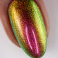 Jewel Beetle