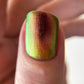 Jewel Beetle