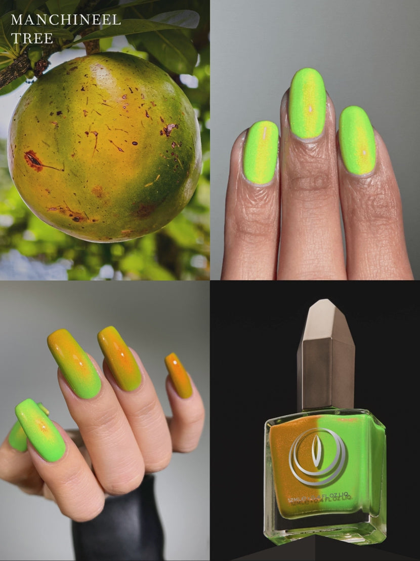 mooncat | Deadly By Nature Set | nail polish