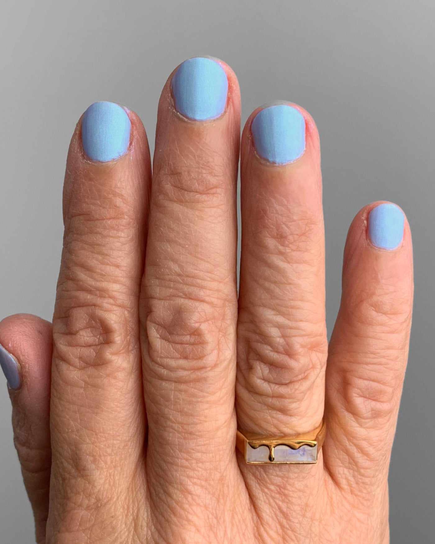 Sabertooth – mooncat